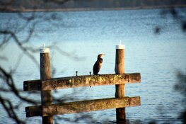 Een luxe vakantie in een oase van rust in eigen land. Het kan bij Haven Lake Village!