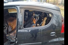 Auto in brand gestoken op parkeerplaats in Zaandam