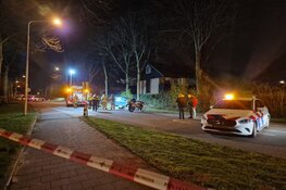 Auto tegen boom in Koog aan de Zaan, twee gewonden