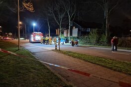 Auto tegen boom in Koog aan de Zaan, twee gewonden