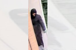 Gezocht: Woningoverval Stadskwekerij