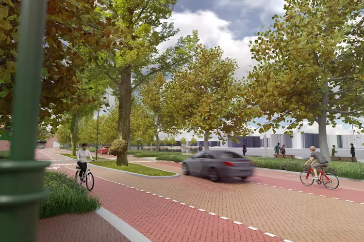 Herinrichting Zaanweg-Oost: 30 kilometerweg, bloemenpracht en veel groen