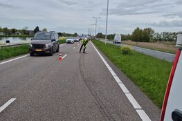 Overstekend pulletje veroorzaakt ongeluk Westzaan