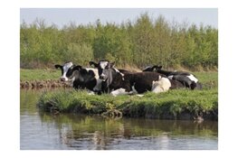 Excursie vaartocht tijdens Pinksteren: Zomer in het veld