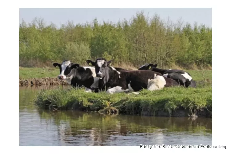 Excursie vaartocht tijdens Pinksteren: Zomer in het veld