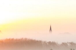 Excursie vaartocht: Dauwtrappen met Luilak