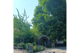 Buiten dansen in de Tolhuistuin