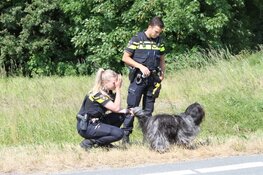 Ernstig ongeval op N246 Westzaan