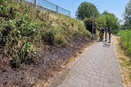 Bermbrand langs A8 snel onder controle