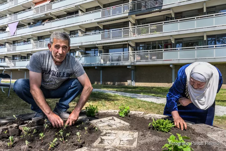 Bewoners van de Triangelhof krijgen levendige groene ontmoetingsplaats