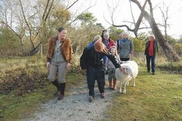 Samen wandelen in Zaandam: gezellig, groen en gezond