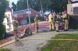 Kat gered bij woningbrand Zaandam, vogels redden het niet