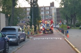 Kat gered bij woningbrand Zaandam, vogels redden het niet