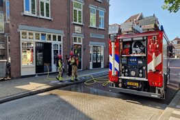 Twee katten gered bij brand in Assendelft