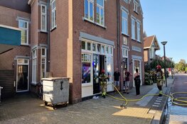 Twee katten gered bij brand in Assendelft