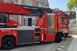 Twee katten gered bij brand in Assendelft
