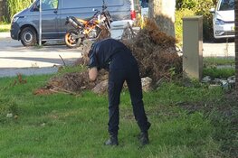 Verhuiswagen in brand in Zaandam