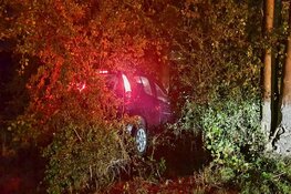 Automobiliste van de weg geraakt in Westzaan