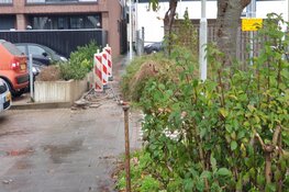 Groot gaslek in Wormerveer