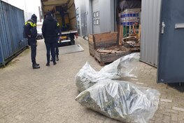 Hennepplantage aangetroffen in bedrijfspand in Wormerveer