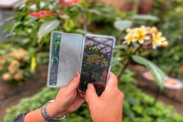 Kunstmatige Intelligentie (AI) in Smartphone Fotografie Workshops