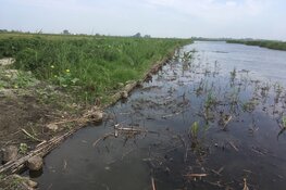 Natuurmonumenten voert herstelwerkzaamheden uit in Wormer- en Jisperveld