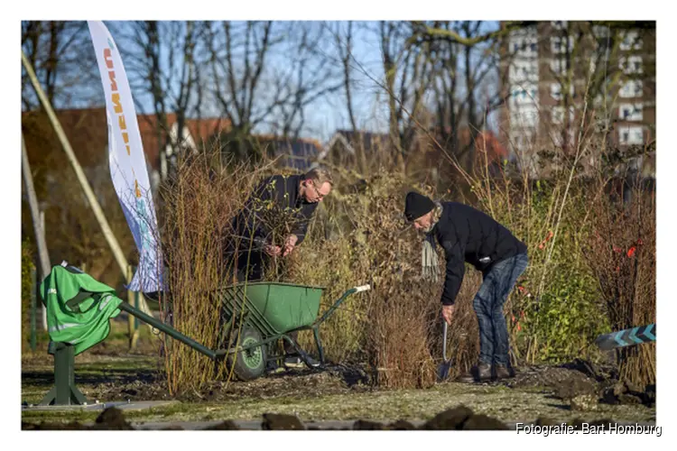 Zaanstad opent eigen Bomenhub