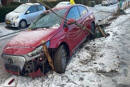 Automobiliste raakt van de weg op N203
