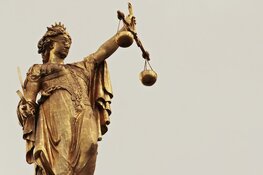 Tot twintig maanden cel geëist voor professionele hennepteelt