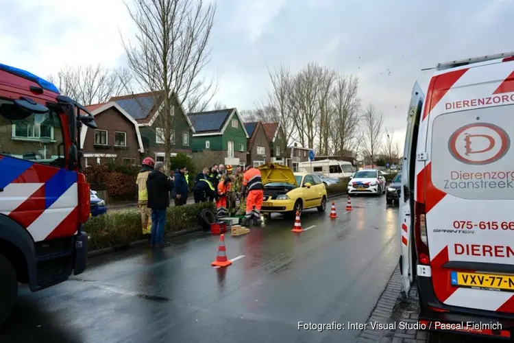 Reddingsoperatie: kat vast onder motorkap van auto
