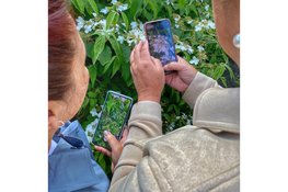 Ontdek de kunst van Smartphone Fotografie: tips voor de beste Foto's!