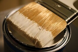 Waarom de juiste muurverf belangrijk is voor je make-over