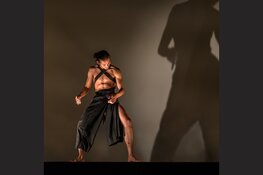 Ervaar het Zaantheater op een hele andere manier tijdens de Kunstrondleiding