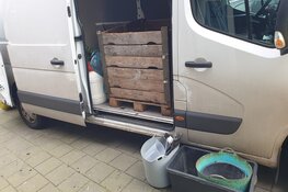 Wietplantage gevonden in woning in Wormerveer