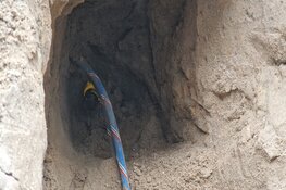 Gaslek bij bedrijfsunit in Westknollendam