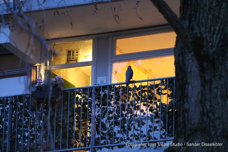 Explosie bij appartement in flat Krommenie