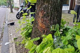 Scooterrijder gewond na botsing met boom