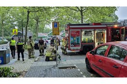 Bestelbus in brand op Wagenschotpad in Zaandam