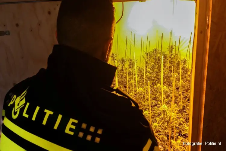 Bijna 700 hennepplanten aangetroffen in pand in Wormerveer