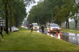 Peperdure Mercedes tegen boom in Zaandam