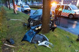 Auto tegen boom gereden op Van Goghweg in Zaandam