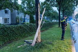 Auto tegen boom gereden op Van Goghweg in Zaandam