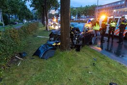 Auto tegen boom gereden op Van Goghweg in Zaandam