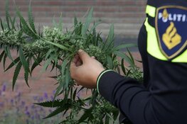 Drugs aangetroffen bij controle in Wormerveer