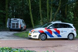 Melding steekpartij park Zaandam