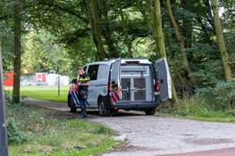 Melding steekpartij park Zaandam