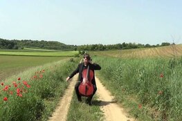 Lunchconcert 16 oktober, benefiet voor Ambedkar school Hongarije