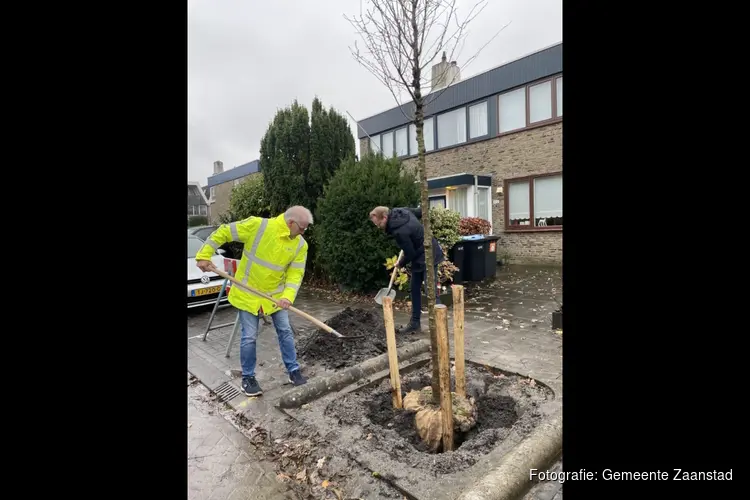 Het plantseizoen is begonnen!
