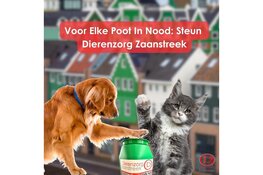 Voor elke poot in nood: Steun Dierenzorg Zaanstreek!