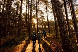 Een weekend vol wandelgeluk: 9.700 wandelaars genieten van 20e editie Egmond Wandel Marathon